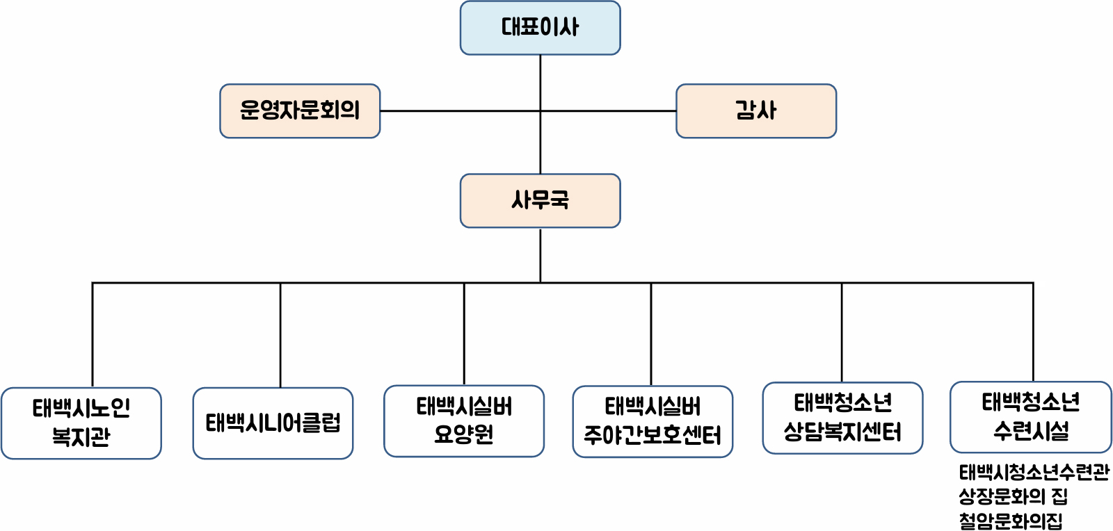 재단법인 태백시복지재단 조직도