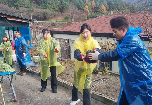지역자원 및 조직화